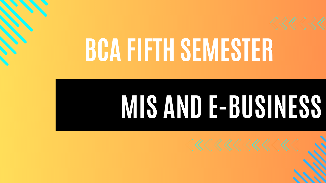 MIS and E-Business MCQ BCA Fifth Semester 2024